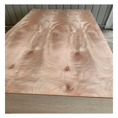 18mm多层板 包装箱板 多层木方厂家 闽南木业 包装板木材