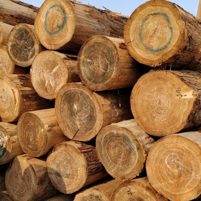 厂家直供加工建筑方木工地用木方 实木板材托盘料建筑模板方木