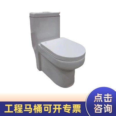 家用抽水马桶大口径卫浴坐便器陶瓷小户型工程防堵防冻裂坐厕